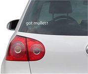 INDIGOS UG Sticker/Decal - JDM - Die cut - Got Mullet? Decal Funny Haircut Redneck Car Sticker - white - 149mm x30mm - Car Laptop Tuning gift