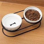 Navaris Ceramic Bowls with Black Metal Stand - 2 Raised Cat & Dog Bowls - Tilted Elevated Cat Kitten Dog Food & Water Bowl - Small Cat & Dog Feeding Station - 150ml (5oz) Capacity