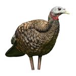 Avian X AVX8008 Hunting Decoys Turkey, Multicolor, one Size