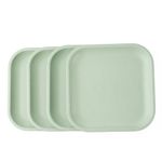 Durable Plates