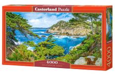 Puzzle 4000 pièces : Côte Californienne