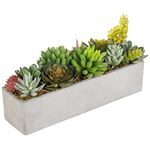 MyGift Faux Succulent Plant Arrangement in 12-Inch Gray Cement Pot