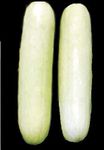 Golden Hills Farm hybrid seeds F1 Cucumber White Long 50+ seeds