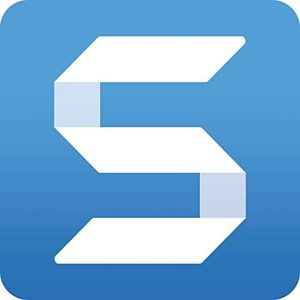 Snagit 202