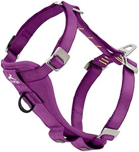 Kurgo Harnais Chien pour la Voiture Tru-Fit, avec Anneau Avant Anti-Traction, Ceinture de Chien Incluse, Violet, S