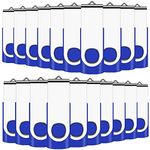 2GB USB Memory Stick 20 Pack Bulk USB2.0 Sticks Pen Drive Flash Drives (Blue wiht Lanyard)