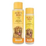 Burt's Bees for Dogs Oatmeal Shampo