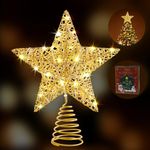 WHOLEV Christmas Tree Star, 25CM Gold Wire Glitter Tree Toppers with TIMER, Battery or USB Powered, 20 LED Lights Gold Ornaments Topper, Christmas Tree Star Topper Light for Christmas Tree Decoration