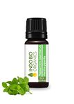 INDO BIO ORGANICS Peppermint Essential Oil Natural Pure and Undiluted 15ml Best for Hair Dandruff Skin Face Cold Congestion Steam and Diffuser 15 ml