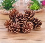12 Pcs Christmas Decoration Wooden Pine Cones Hanging Ornaments Bauble Xmas New Year Festival Party Decoration