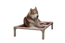 Kuranda Almond PVC Chewproof Dog Bed - XL (44x27) - Ballistic Nylon - Smoke