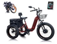 Perraro Polar Foldable Electric Trike for Adults, 750W BAFANG Motor, 3 Wheel Electric Bicycle, 65-Mile Long Range Motorized Tricycle, 450 lbs Load Cap, 48V Removable Battery, Insulated Grocery Bag