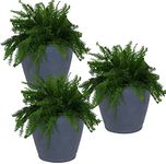 Sunnydaze Anjelica Flower Pot Planter - Outdoor/Indoor Unbreakable Double-Walled Polyresin with UV-Resistant Slate Finish - Set of 3 - Large 24-Inch Diameter