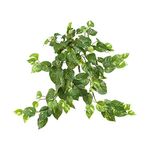 Nearly Natural 30IN Pothos Hanging Plants, Set of Three (3) Fake Bushes for Indoor Home Décor, Faux Vines for Wall or Hanging