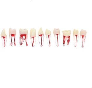 10Pcs Dent