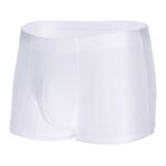 Arjen Kroos Men's Silk Underwear Tagless Sexy Underpants Bulge Pouch Boxer Briefs,White-AK7010,Medium