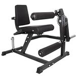 Seated Leg Extension / Curl Machine