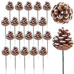 20Pcs 2Inch Christmas Natural Pine Cones-Snow Tipped Pinecones Bulk Ornaments with Green Wire - for Christmas Wreath Garlands Decoration Christmas Tree Decoration Home Party Holiday Decor