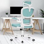 Razzor Ergonomic Office Chair, High Back Mesh Desk Chair with Lumbar Support and Adjustable Headrest, Computer Gaming Chair, Executive Swivel Chair for Home Office