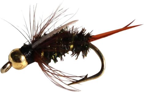 Flies Direct BH Prince Nymph Assortment Trout Fishing Flies (1-Dozen), Black