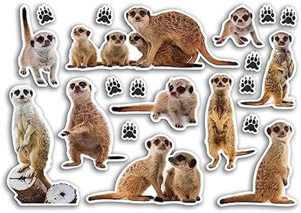 A5 Sticker Sheet Meerkat Vinyl Stickers - Mongoose Wildlife Animals Scrapbooking Travel Decoration Label Friend Girls Boys Aesthetic #80791