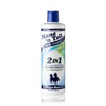 Mane N Tail Daily Control 2 in 1 Anti-Dandruff Shampoo and Conditioner, 12 Ounce