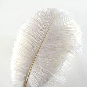 10 plumas 