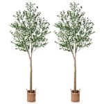 SOGUYI Artificial Olive Tree 7ft Tall Fake Plant, Faux Olive Tree Topiary Silk Trees with Handmade Woven Basket Planter, Artificial Floor Plants for Home Office Living Room Indoor Decor(Set of 2)