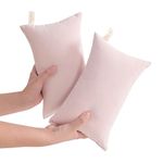 NTBAY 2 Pack Tiny Pillows, 11"x7" Microfiber Mini Pillows for Travel, Pets, Soft Machine Washable Small Pillows for Neck, Wrist, Lumbar and Knee, Pink