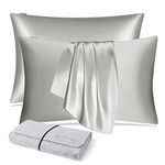 DISANGNI 100% Natural Mulberry Silk Pillow case for Hair and Skin with Hidden Zipper 22 Momme Both Sides Real Silk Pillow Case (2pc Standard Size 20" x26", Light Grey)