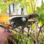 Trustbasket Premium Garden tool Royal cut Crum finish garden secateurs Pruning Shears, Pruner Less Effort Garden Clipper with Sharp Blade