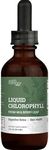 Liquid Chlorophyll, Liquid Drops for Immune System Support, Natural Internal Deodorant - Vegan Chlorophyll Liquid Drops with Organic Glycerin - Clorofila Liquida, Chlorophyllin Detox Cleanse (1 mL)