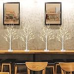 PEIDUO Birch Tree for The Home, 2FT