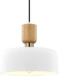 TeHenoo Modern Pendant Lighting,12 