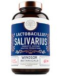 Lactobacillus Salivarius Probiotic Capsules - L Salivarius Probiotic Oral Dental Probiotics for Bad Breath, Teeth and Gums Health - Immune Support, Digestive Probiotic - 24bn CFU Per Serving, 30 Servings