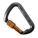 2win2buy 30KN Rock Climbing Carabiner, D-shaped Locking Screwgate Carabiner Hot-forged Magnalium Climber Hiking/Travel/Mountaineer Karabiner Outdoor Sport Tools (1 Pack)