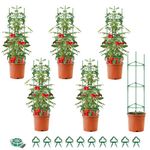 MYMULIKE Tomato Cage 6 Pack, 47 Inch Tomato Cages for Garden, Tomato Stand, Rustproof Plant Trellis for Tomatoes, Beans, Peppers,Flowers