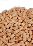 Dawn Chorus 25 kg Fruity Suet Pellets For Wild Birds (12.55 kg pack x 2)