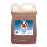 Bio-Groom Oatmeal Dog Shampoo – for Allergies and Itching, Cruelty-Free, Dog Bathing Supplies, Puppy Shampoo for Sensitive Skin, Made in USA, Anti-Itch Dog Products – 2.5 Gallons