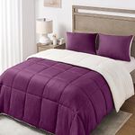 Basic Beyond Queen Comforter Set - Luxury Fleece Sherpa Comforter Sets for Queen Bed, Soft and Warm Queen Size Bedding Comforter Set for Winter, Purple, 88"x88"