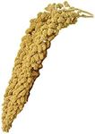 Birds LOVE Economy & Thin Special Spray Millet GMO-Free (No Stems Only Edible Tops) for Birds Cockatiel Lovebird Parakeet Finch Canary All Parrots Healthy Treat - 9oz