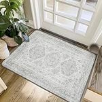 BEIMO 2X3 Area Rug for Entryway, Ma