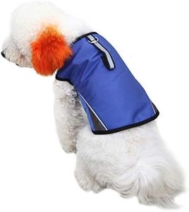 Dog Anxiet