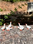 yaartz Fairy Garden Accessories Miniature Figurine Decoration for Mini Garden Micro Landscape Terrarium- 6 pcs Goose