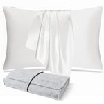 DISANGNI 100% Natural Mulberry Silk Pillow case for Hair and Skin with Hidden Zipper 22 Momme Both Sides Real Silk Pillow Case (1pc Standard Size 20" x26", White)