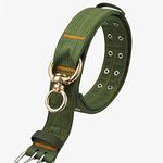 Gps Hunting Dog Collar