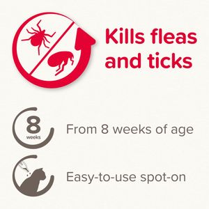 Beaphar FIPROtec Cat Flea & Tick Spot-On Treatment, 6 Pack