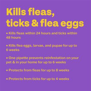 Bob Martin Flea Treatment for Cats – Fast-Acting Pest Control