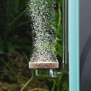 Aquario Ne