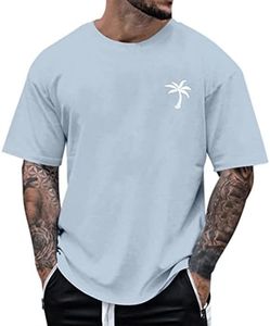 T-Shirts for Men, Crew Neck, Summer T-Shirt, Outdoor Short Sleeve Shirt, Lightweight Casual Elegant Tops, Streetwear T-Shirt, Men's Leisure Tops, Sports Shirt, Men's T-Shirt, lightblue, L